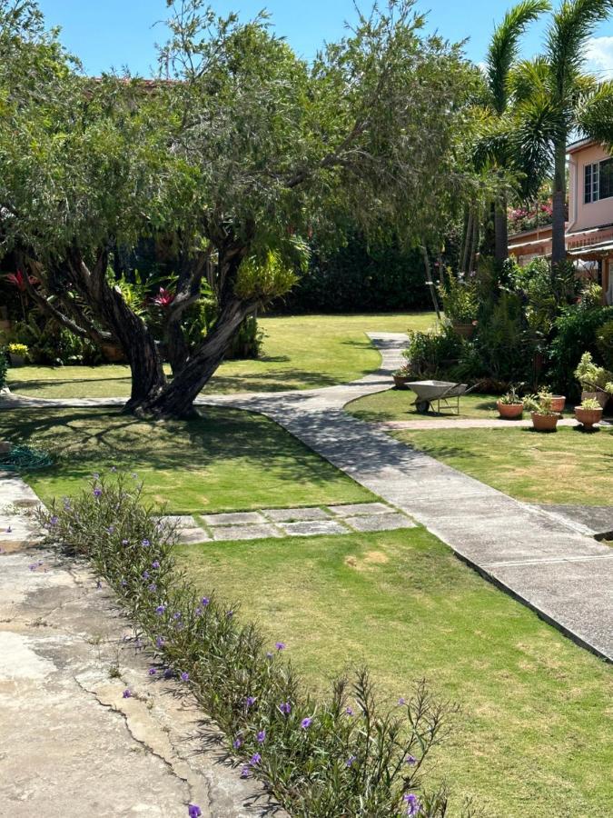 Remarkable 1-Bed Apartment In Montego Bay Exterior photo